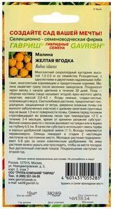 Семена Малина "Желтая ягодка", 10 шт