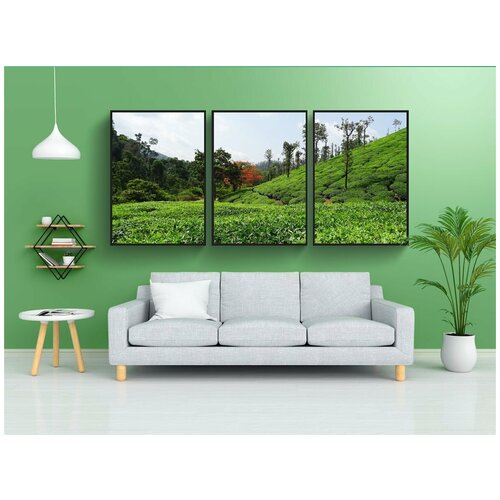 фото Набор модулных постеров для интерьера "чайный сад, чай, завод" 60x90 см. в тубусе, без рамки lotsprints