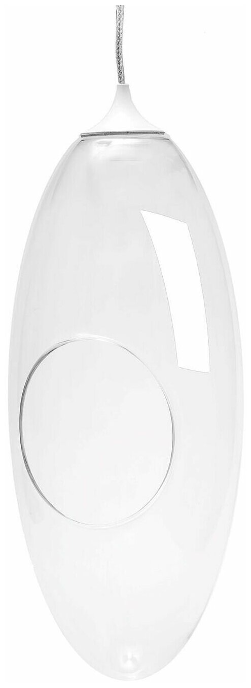 Светодиодный подвесной фитосветильник Стеклянный плафон Apeyron Fito овальной формы без наполнения 1Вт 100Лм IP20 220В FT 8-01 белый 300 мм