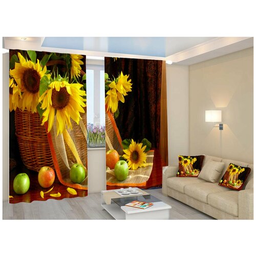 Фотошторы Блэкаут 