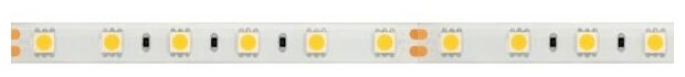 Arlight Лента RTW 2-5000SE 24V White 2x (5060, 300 LED, LUX) (Arlight, 14.4 Вт/м, IP65) 014626(B) - фотография № 3