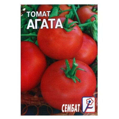 Семена Томат 