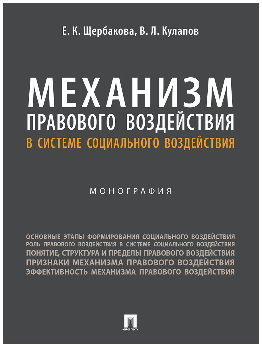 Механизм правового воздействия в системе социального воздействия. Монография