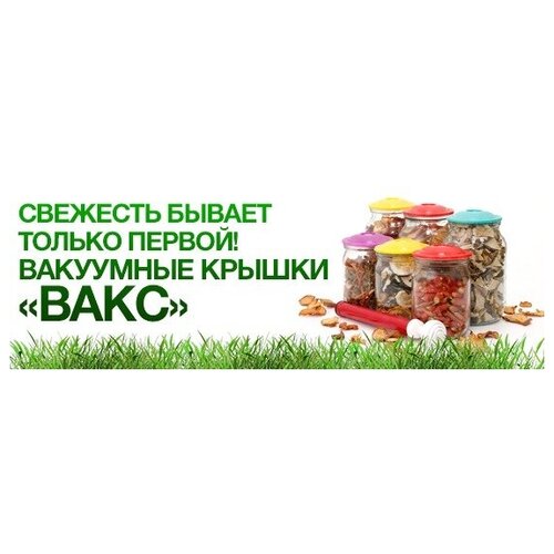 Набор 10в1 VAKS 82 Б Исток TM вакуумные крышки устройство для домашнего консервирования