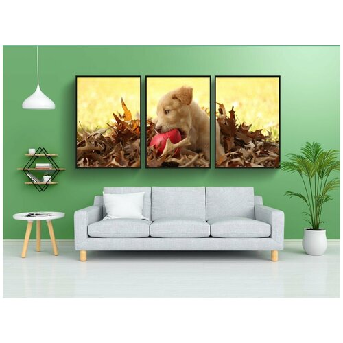 фото Набор модулных постеров для интерьера "яма лабораторная смесь, осень, лабрадор" 60x90 см. в тубусе, без рамки lotsprints