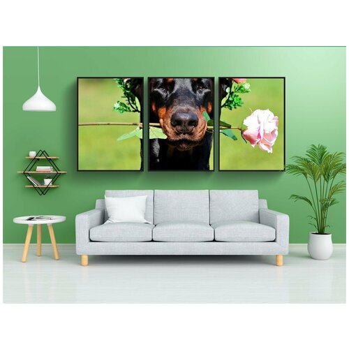 фото Набор модулных постеров для интерьера "доберман, собака, роуз" 60x90 см. в тубусе, без рамки lotsprints