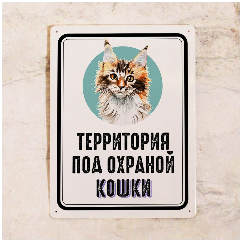 Металлическая табличка на забор Территория под охраной кошки Мейн Куна , идея подарка кошатнику , металл, 20х30 см