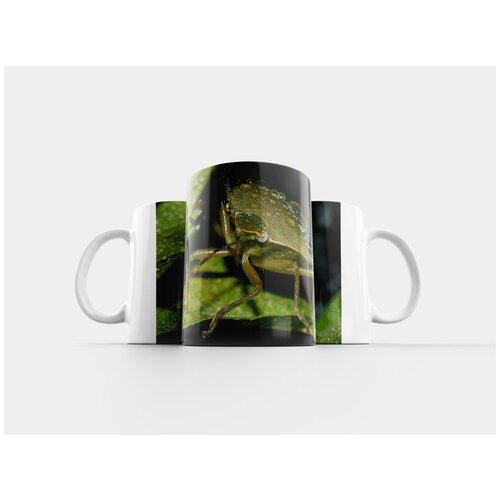 фото Кружка "постельный клоп, незара, виридула" 320 мл lotsprints