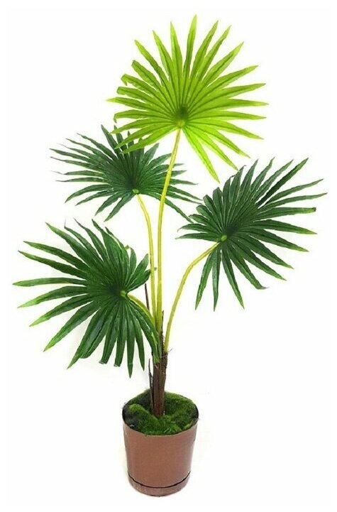 Пальма / Искусственное растение для декора / декор для дома