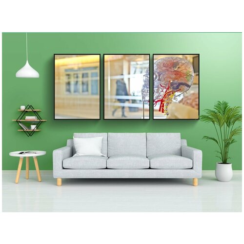 фото Набор модулных постеров для интерьера "череп, головной мозг, голова" 60x90 см. в тубусе, без рамки lotsprints