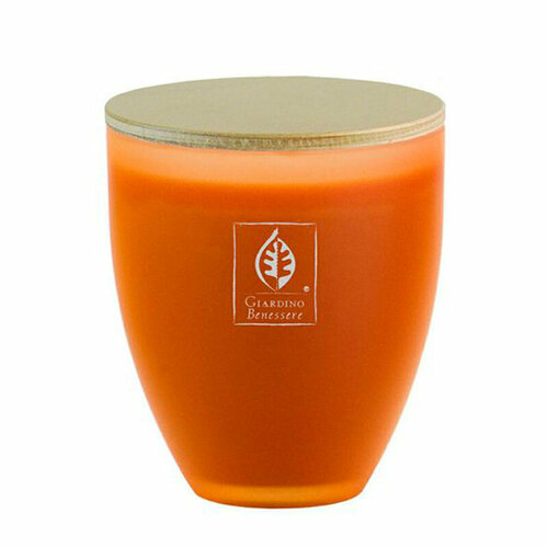 Giardino Benessere Amber свеча 255 гр унисекс 8290₽