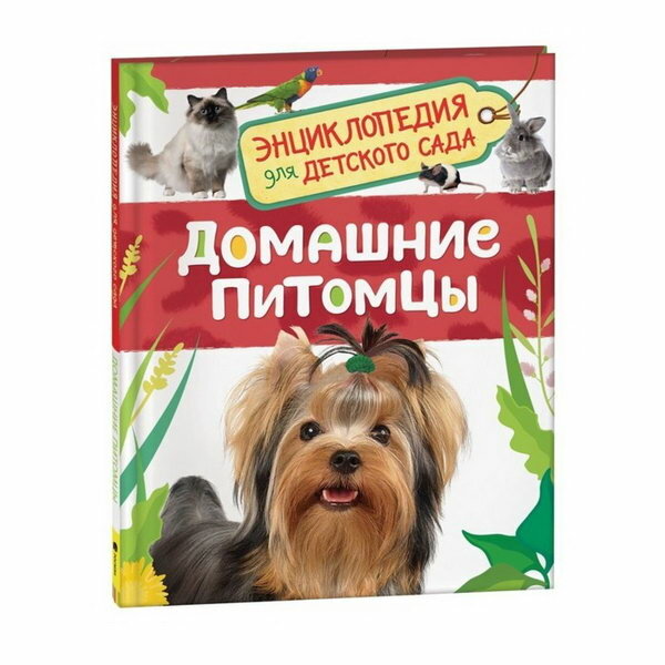 Росмэн Энциклопедия для детского сада «Домашние питомцы» - фото №7