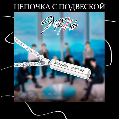 Подвеска Кулон на цепочке Stray Kids, серебристый