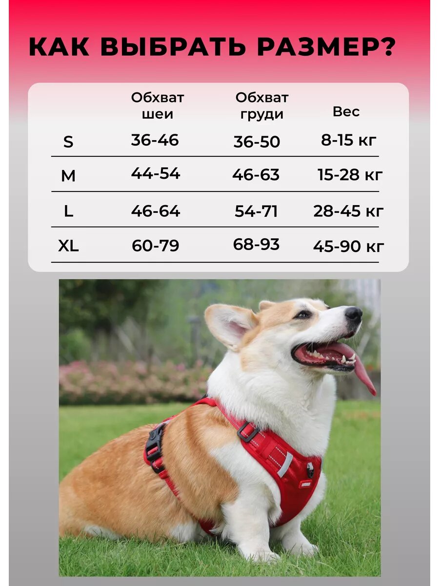 Картинки Прочная анатомическая шлейка для собак