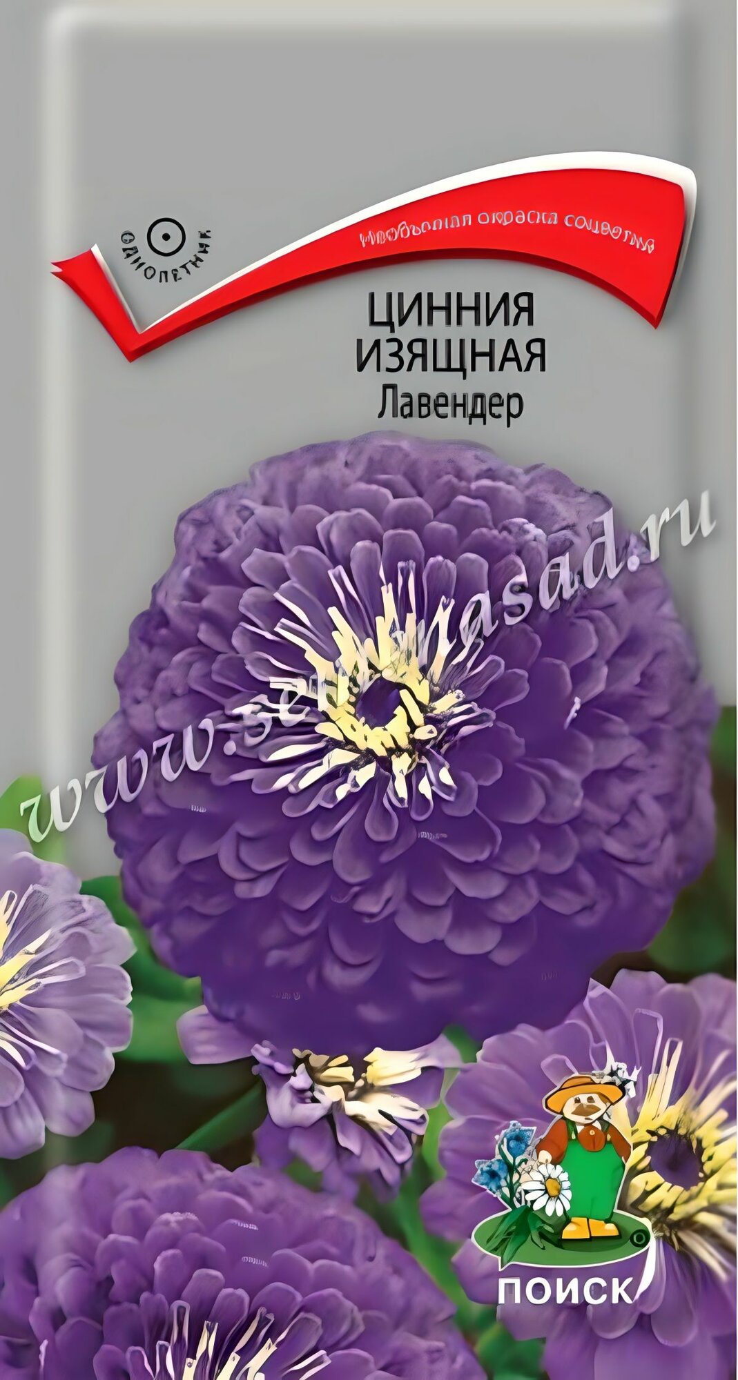 Семена Цветы Цинния изящная 