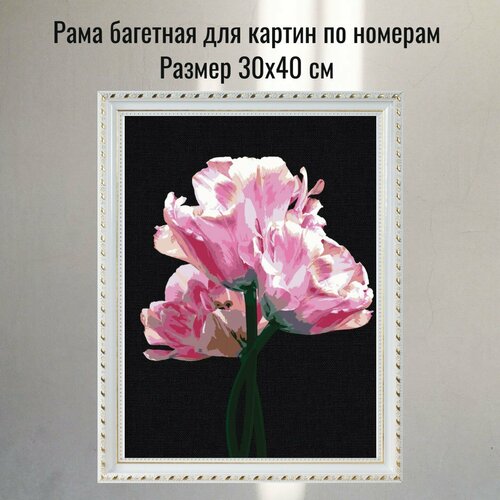 Рамка для картины на холсте 30х40 см для картин по номерам 589₽