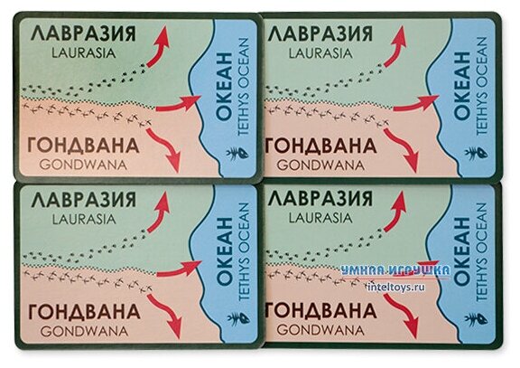 Дополнительный набор Правильные игры Эволюция Континенты - фото №9