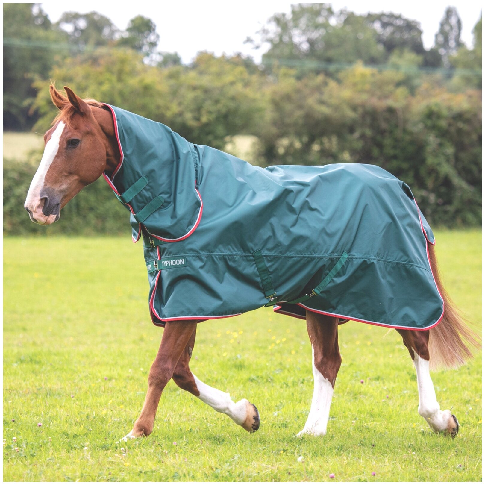Попона прогулочная для лошади с капором SHIRES TYPHOON "Lite", 840D, 0g, 145, зеленый (Великобритания)