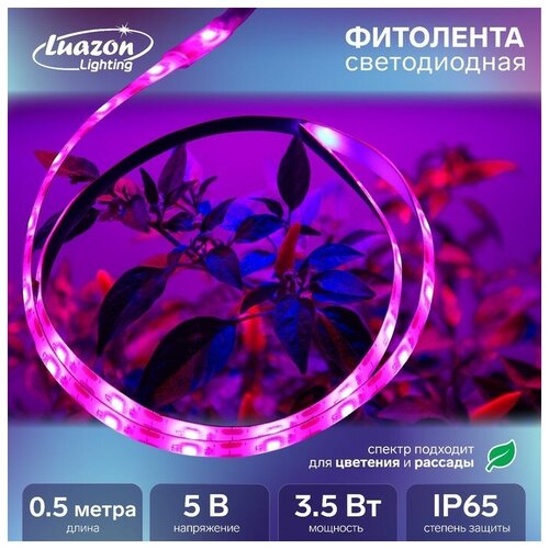 Фитолента светодиодная Luazon, 5 В, SMD5050, 0.5 м, IP65, 3.5 Вт, 60 LED/м, дим, USB