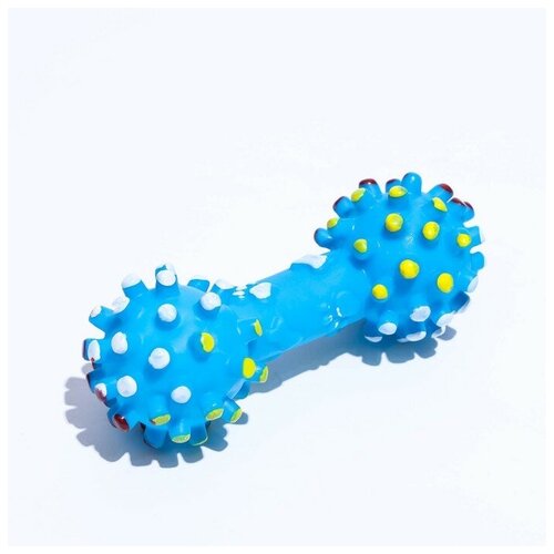 Пижон Игрушка пищащая увеличенная Гантель с лапками для собак, 16,5 x 6 см, синяя игрушка пищащая баскетбольная гантель 15 5 х 6 см 863749
