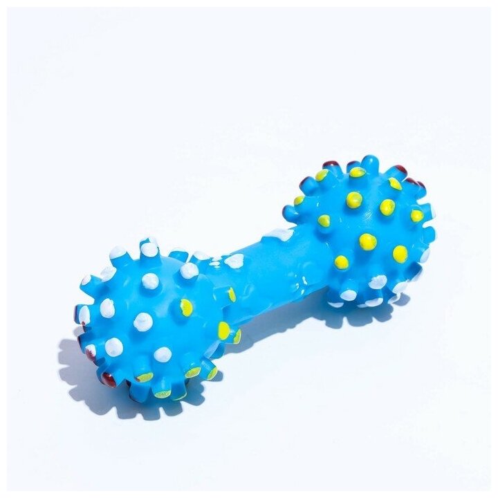 Пижон Игрушка пищащая увеличенная "Гантель с лапками" для собак, 16,5 x 6 см, синяя - фотография № 1