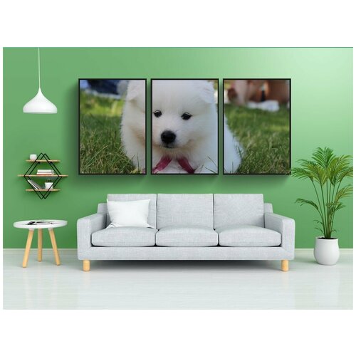 фото Набор модулных постеров для интерьера "собака, щенок, самоед" 60x90 см. в тубусе, без рамки lotsprints