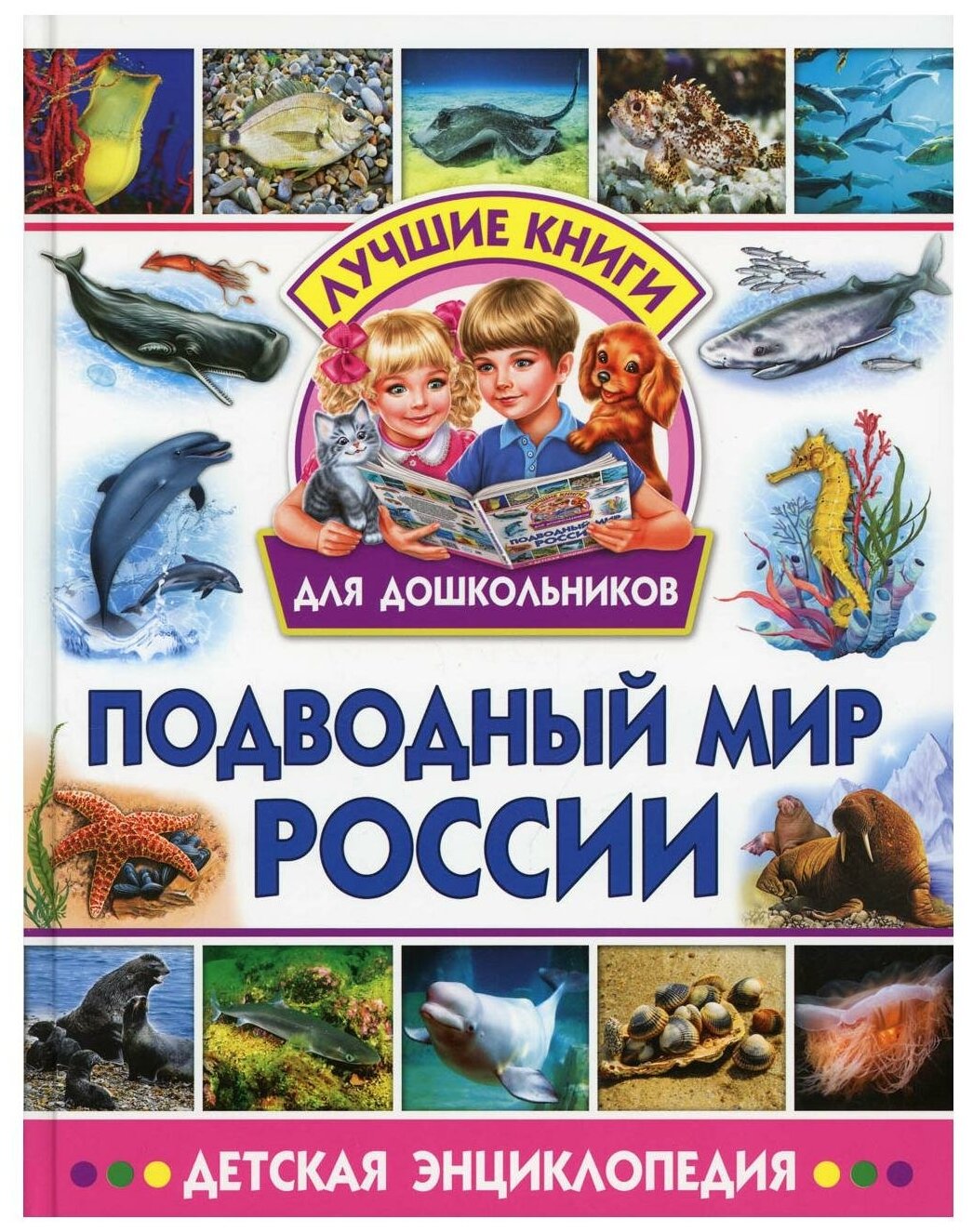 Подводный мир России. Детская энциклопедия - фото №1