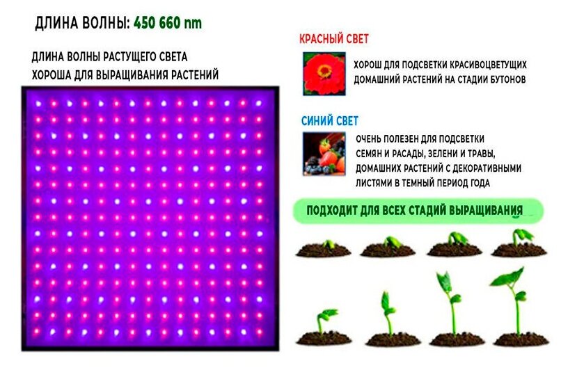 Фитолампа для растений и рассады 50-1000 Вт полный спектр, фиолетовый свет / фитосветильник подвесной - фотография № 6