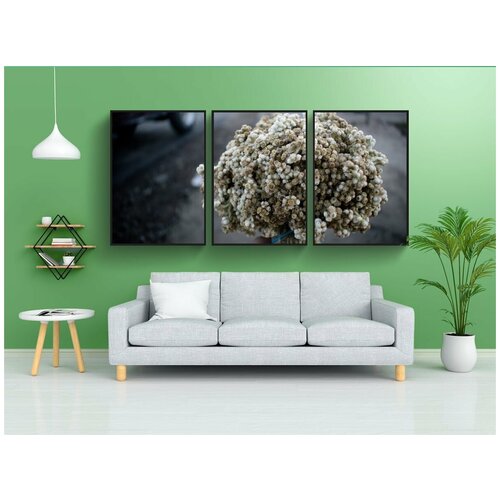 фото Набор модулных постеров для интерьера "цветок, эдельвейс, зум" 60x90 см. в тубусе, без рамки lotsprints