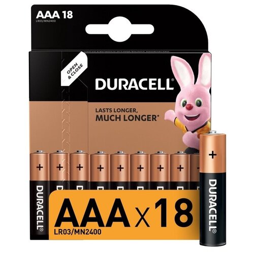 батарейки мизинчиковые duracell basic ааa lr03 2bl Батарейки Duracell Basic ААA, LR03-18BL (81546741)