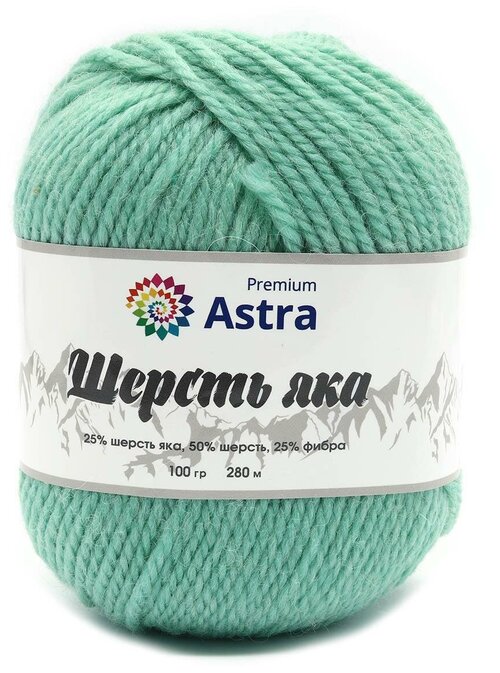 Пряжа Astra Premium Шерсть яка (Yak wool) 2шт 02 мятный 25% шерсть яка, 50% шерсть, 25% фибра 100г 280м