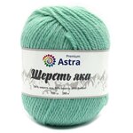 Пряжа Astra Premium Шерсть яка (Yak wool) 2шт 02 мятный 25% шерсть яка, 50% шерсть, 25% фибра 100г 280м - изображение