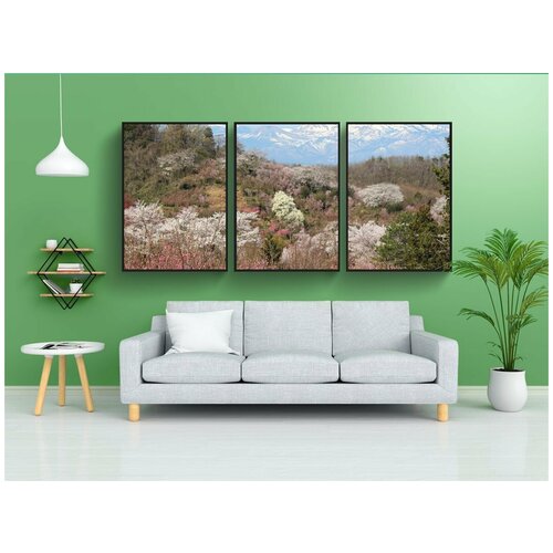 фото Набор модулных постеров для интерьера "фукусима, ханамияма, вишневое дерево" 60x90 см. в тубусе, без рамки lotsprints