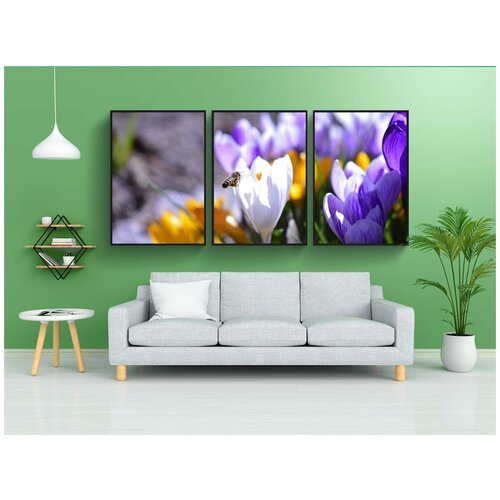 фото Набор модулных постеров для интерьера "пчела, антофила, насекомое" 60x90 см. в тубусе, без рамки lotsprints