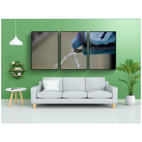 фото Набор модулных постеров для интерьера "животное, птица, голубь" 60x90 см. в тубусе, без рамки lotsprints