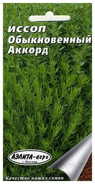 Иссоп Аккорд (01 г) 2 пакета