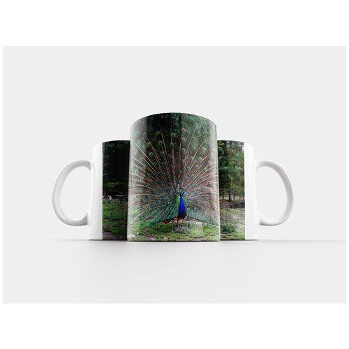 фото Кружка "павлин, колесо, птица" 320 мл lotsprints