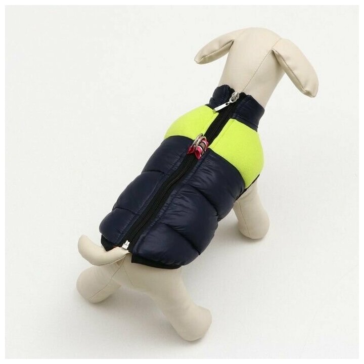 Куртка для собак на молнии, размер 16 (ДС 36 см, ОГ 46 см, ОШ 35 см), синяя с жёлтым - фотография № 8