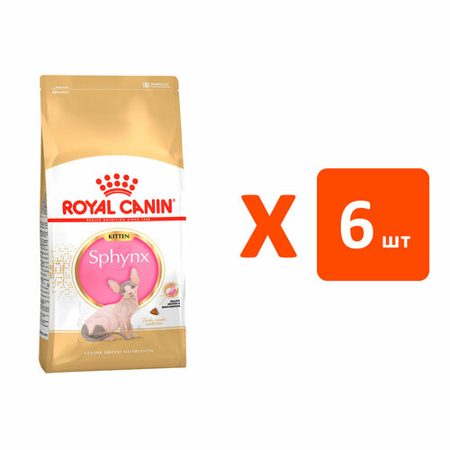 royal canin british shorthair kitten 34 для британских короткошерстных котят 2 кг х 6 шт ROYAL CANIN SPHYNX KITTEN для котят сфинксов (2 кг х 6 шт)