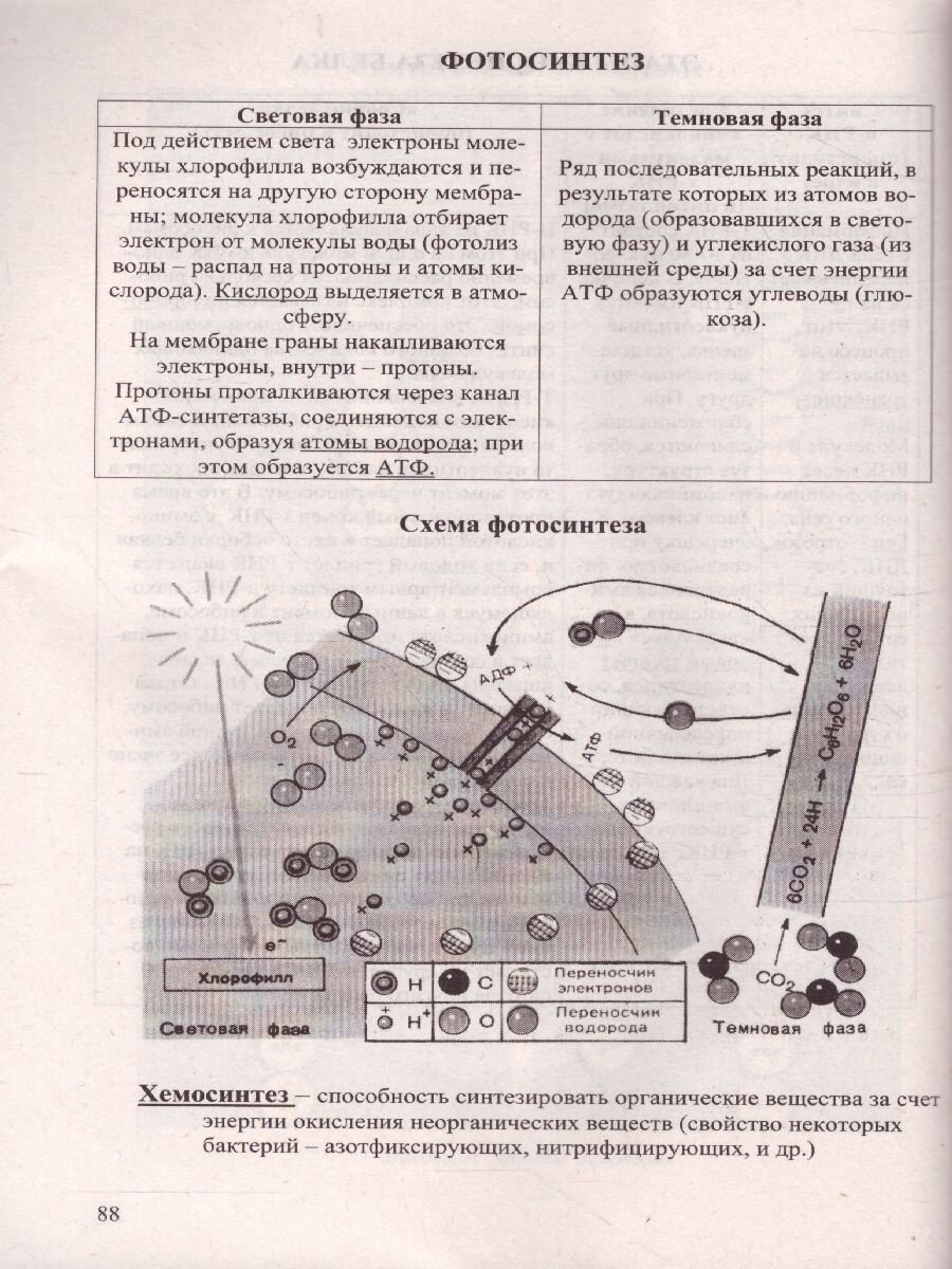 Биология в таблицах и схемах. Для школьников и абитуриентов. 2 -е изд. - фото №9