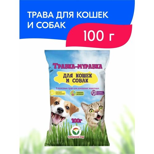 Семена Сибирский сад Травка-муравка для кошек и собак (100 г) семена трава для домашних любимцев вес 10 г