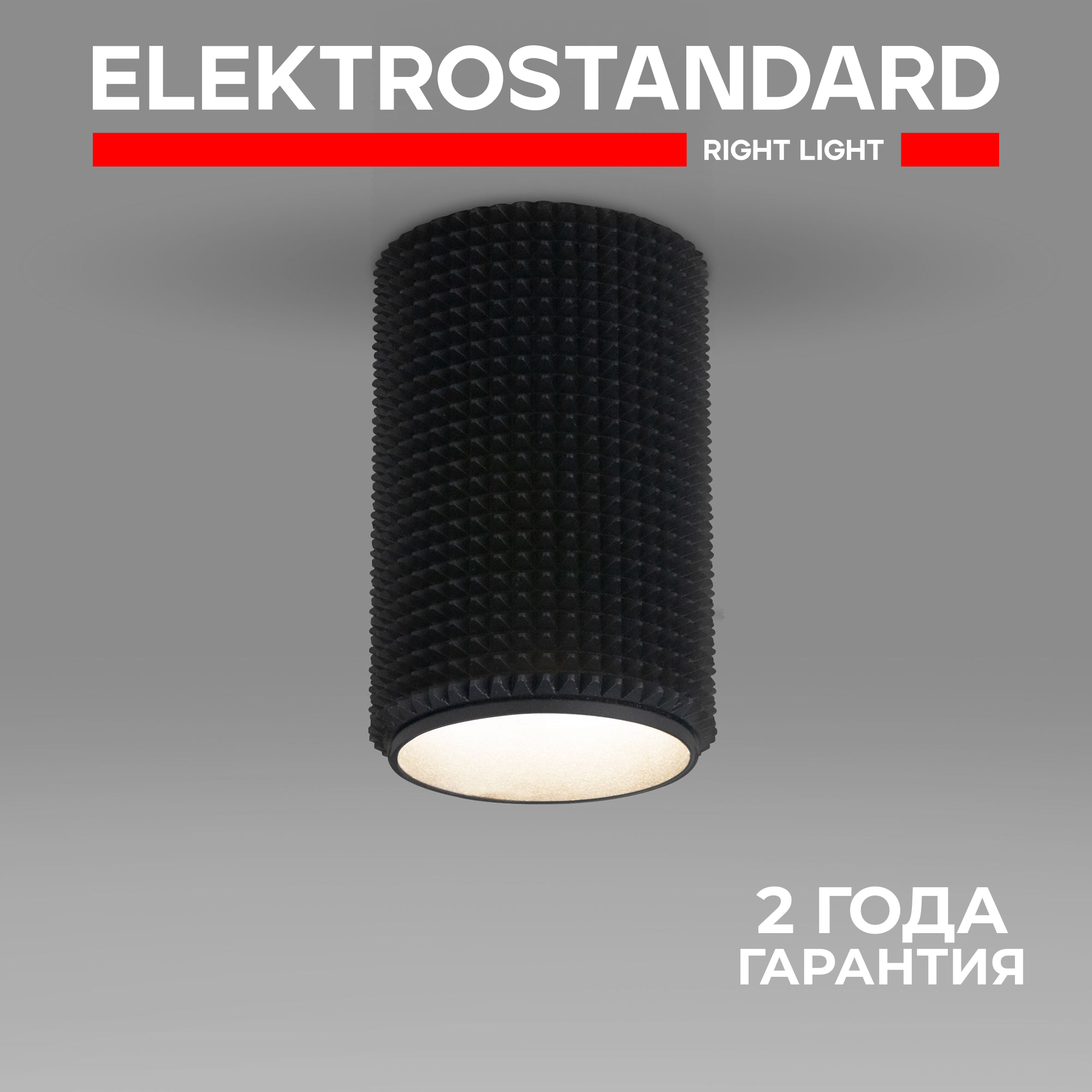 Спот / Накладной потолочный светильник Elektrostandard Spike DLN112, GU10, цвет черный