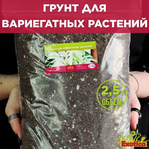 Грунт для вариегатных растений 2,5л