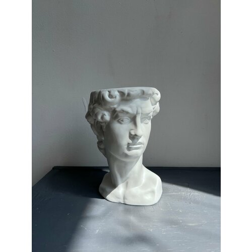 Кашпо Давид d14