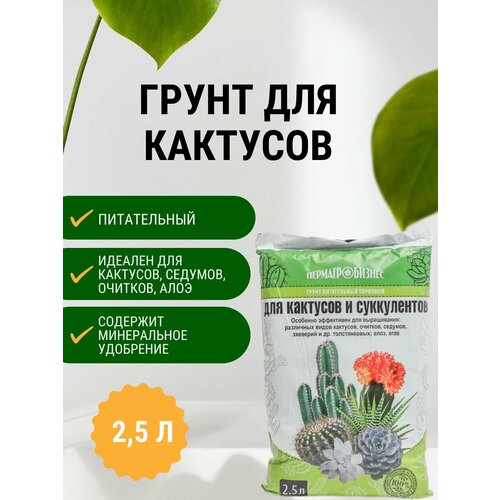 Грунт для Кактусов и Суккулентов 2,5 л