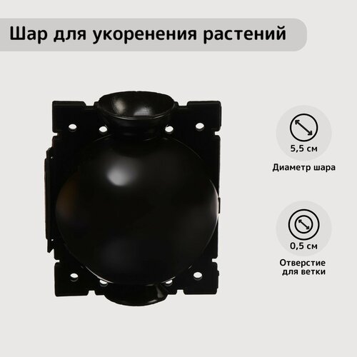 Изображение товара Шар для укоренения растений, d = 5,5 см, под ветку 0,5 см, чёрный, Greengo