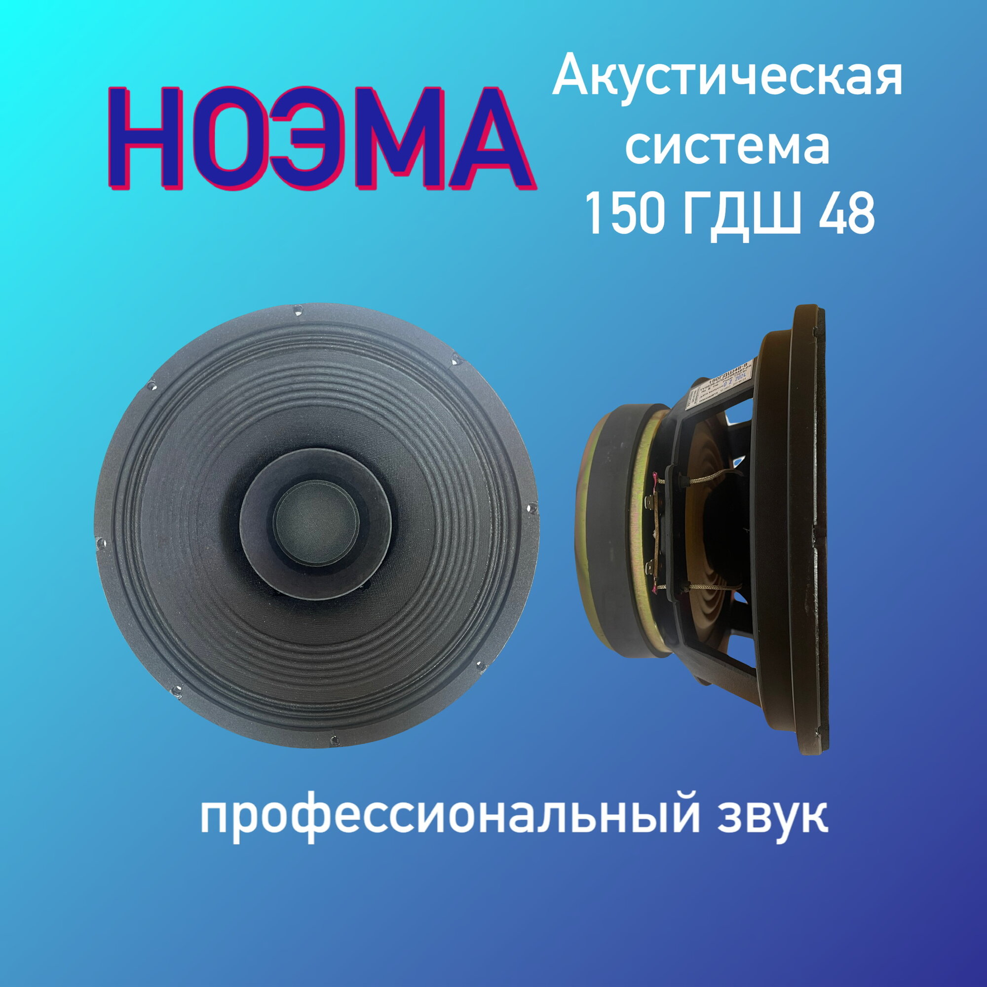 Динамическая головка НОЭМА 150 ГДШ 48-8, широкополосная, 150 Вт, 10'