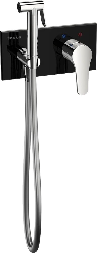 Гигиенический душ Teska Elsa BTK6420B со смесителем  встраиваемый  черный  латунь  хром  скрытого монтажа