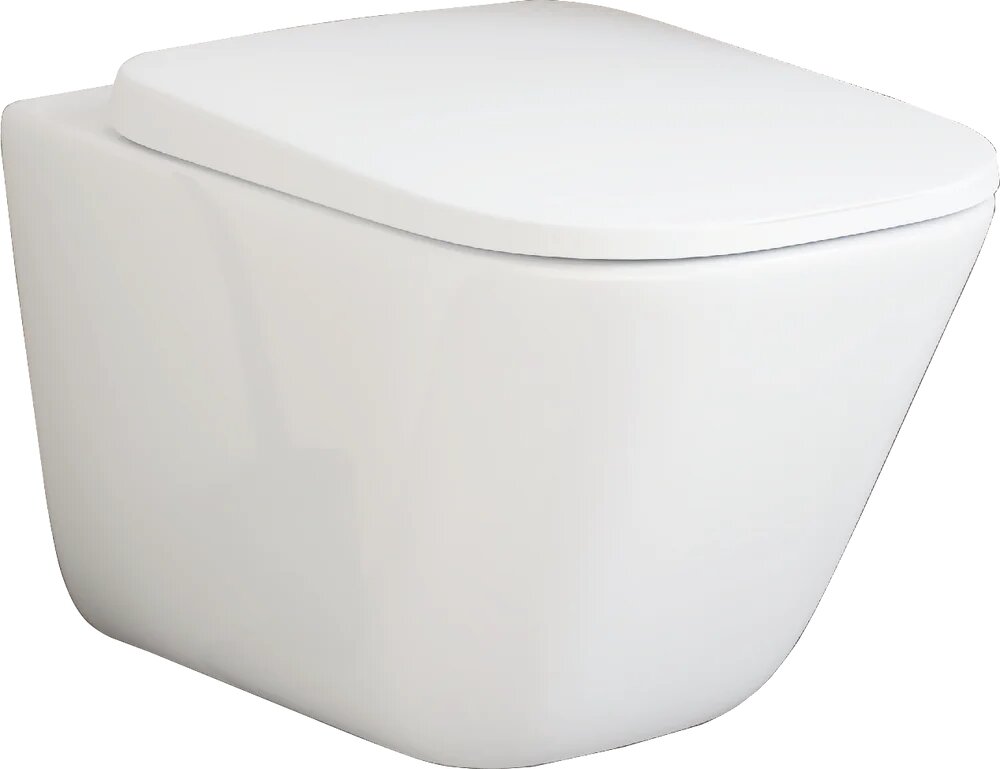 Унитаз подвесной Roca Gap 34647L000 с микролифтом безободковый без бачка фарфоровый белый прямоугольный