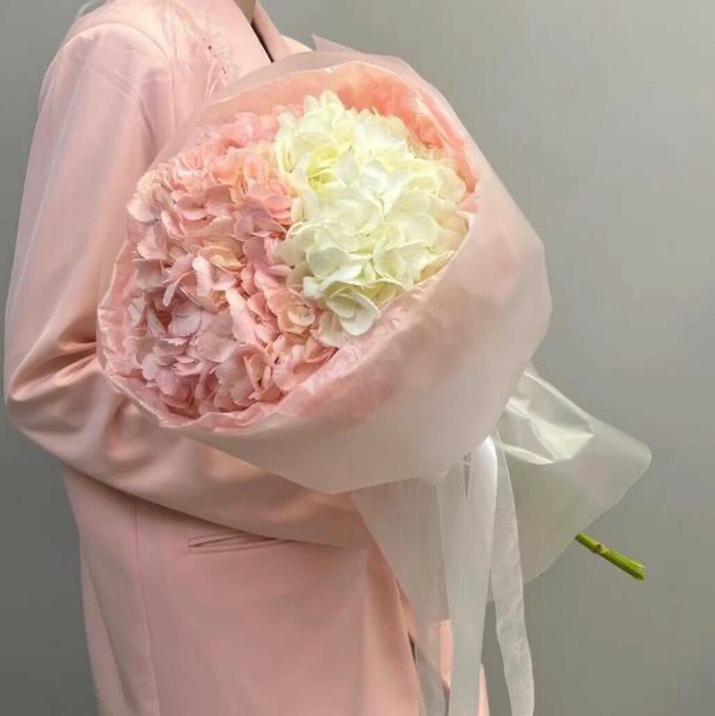 Букет нежный бело-розовое облачко из 3 гортензий в стильной дизайнерской упаковке